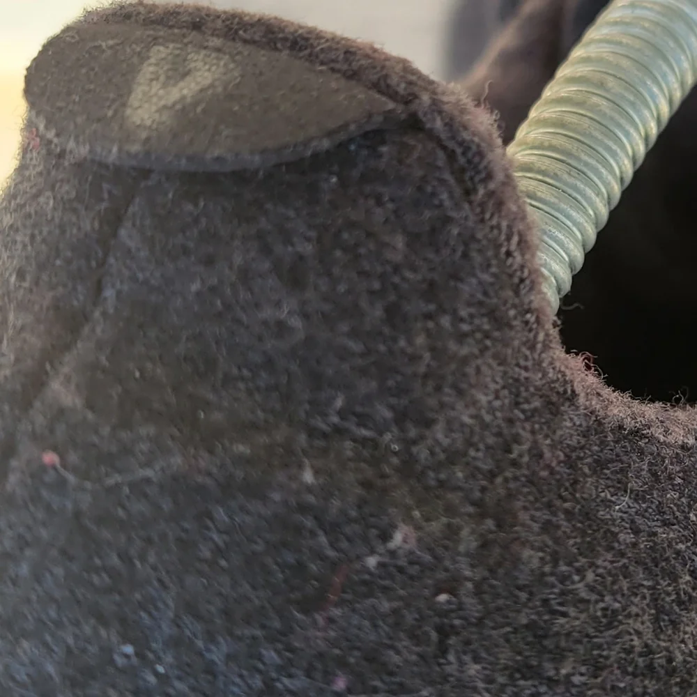 AllBirds Women's‎ Wool Runners sz 11